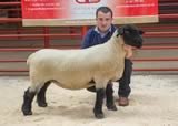 Top price Female lot 10 from Solway Bank sold for 1000 gns